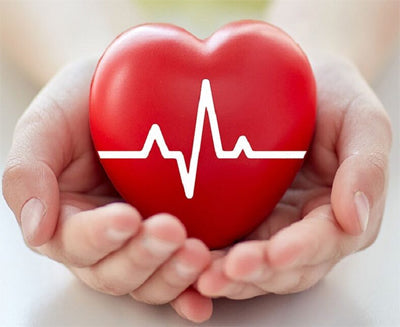 Heart