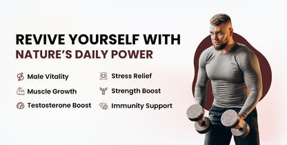 Nutridig® Safed Musli Extract- Gold Standard | High Potency 60 Capsules