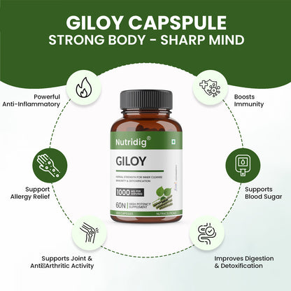 Nutridig Giloy Capsules – Immunity, Detox & Wellness | 60 Veg Capsules